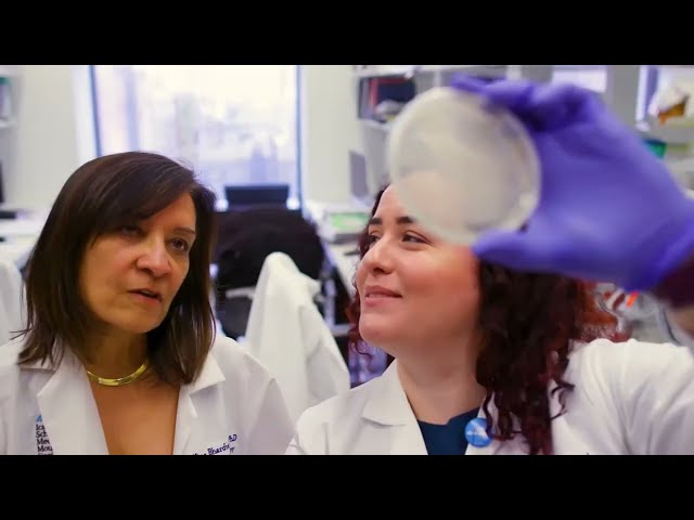 Graduate School of Biomedical Sciences – Basic Sciences Programs