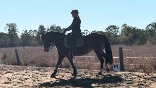 Amber Hamilton - Cwmkaren Morwen - Medium 4.3