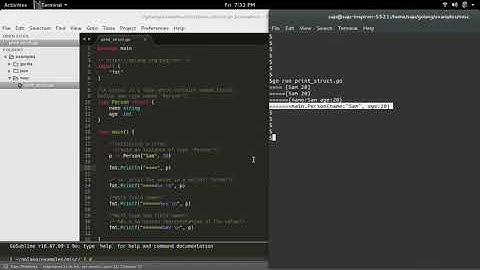 Go Golang How to print struct variable