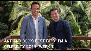 Ant and Dec - Best Bits I’m A Celebrity 2019 (Week 1)