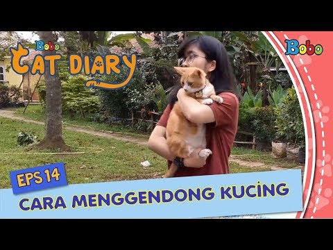 Kucing Lucu  -  Cara Menggendong Kucing - Bobo Cat Diary Eps 14