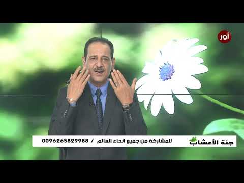 علاج الكلف في الوجه وكيفية التخلص منه مع خبير الاعشاب حسن خليفة