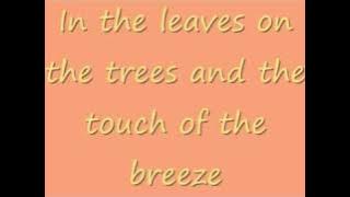 Top of the World - Carpenters (Lyrics) [HQ]