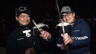 淡路島の洲本港でアジを狙う 四季の釣り 19年12月日放送分 Youtube