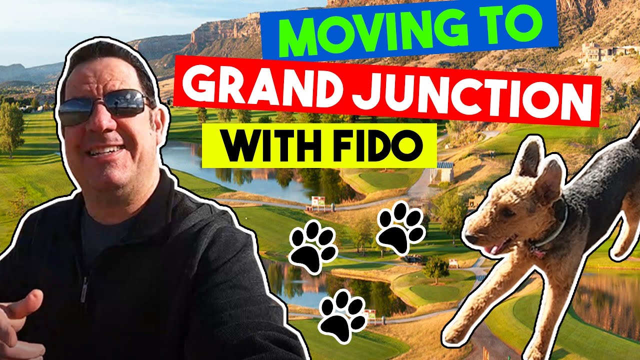 🐶 Moving To Grand Junction Colorado With A Pet YouTube