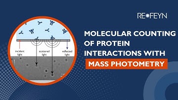 Mass Photometry for Protein Interactions: Molecular Counting Explained