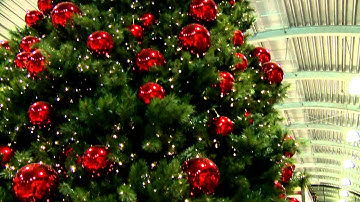 Django Wagner - Kerstspecial 2010 - DEEL 1