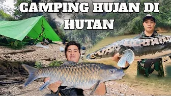 2 Hari Camping Di Guyur Hujan Deras Fishing Adventure Dalam hutan kalimantan bermalam masak makan