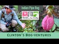 Clinton&#39;s Bog ventures Indian Pipe Bog