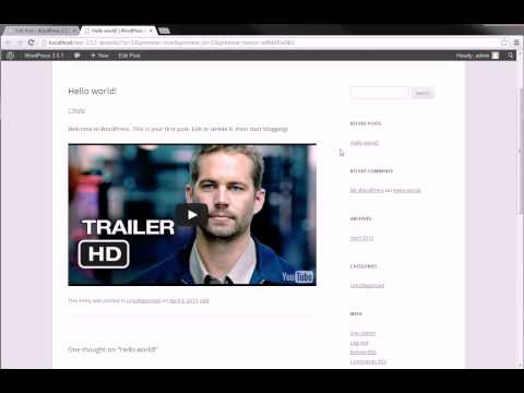 CodeCanyon - WordPress YouTube video post : how to use shortcodes
