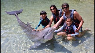 Big Island Hawaii - Hilton Waikoloa Village Dolphin Encounter Dolphin Quest Hawaii