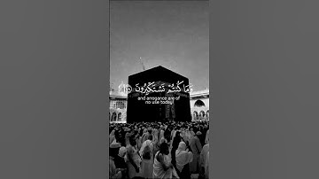 آلقران الكريم - سورة الأعراف - آلاية [ 49 ] القارئ رعد الكردي