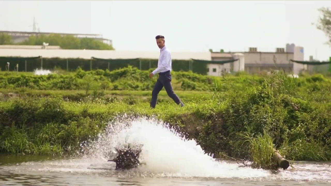 Calvisius Caviar Experience