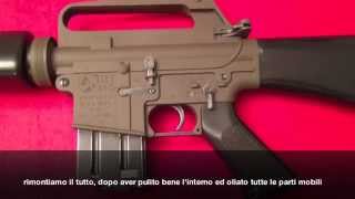 AP74 vs M16