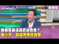 豬瘟風暴