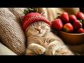 Peaceful Cat Music to Reduce Stress and Anxiety – Calming Music for Cats