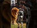 Robot Challenge Lion King || Instant Karma #viral #shorts #RobotInLionsDen
