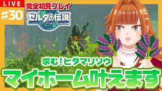 【#ゼルダの伝説TotK】#30 叶えるぜ！マイホーム🏠✨ヒダマリソウは一体どこなんだ……【御主むむ】