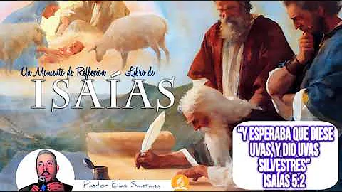 ¿Qué dice la Biblia sobre las uvas?