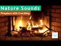 Burning Fireplace with Crackling Fire Sounds Cozy Fireplace