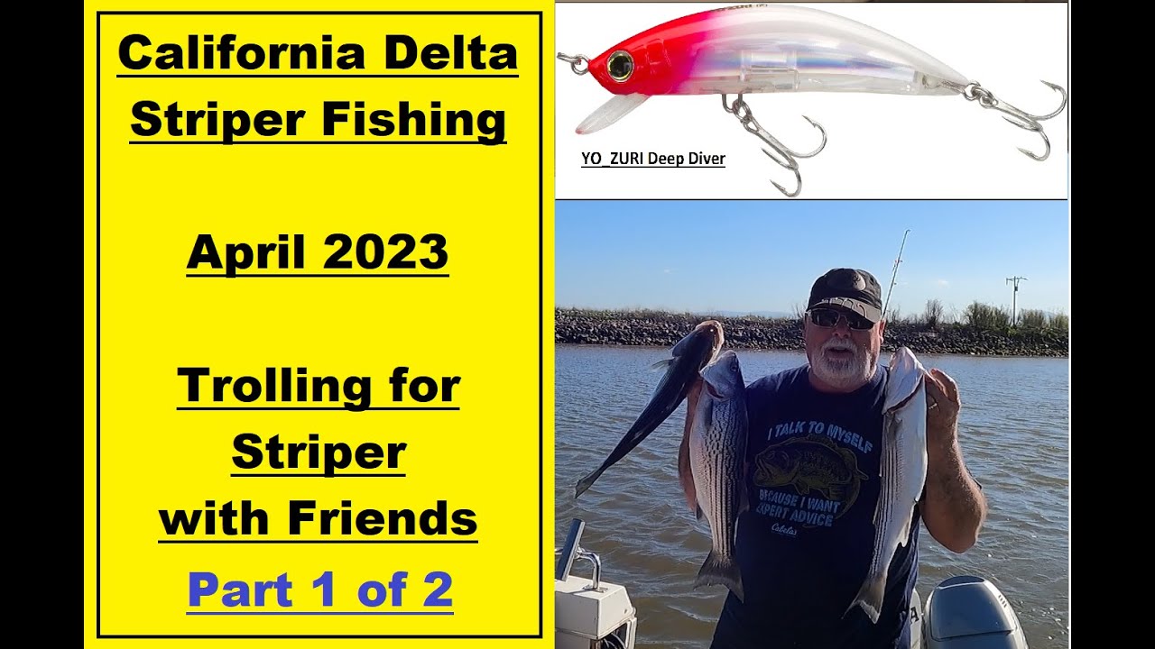 California Delta Striper Fishing Late April 2023 Part 1 of 2 YouTube