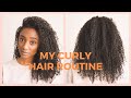 My Curly Hair Routine - Caring for Natural Hair in Italy