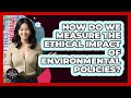 How Do We Measure The Ethical Impact Of Environmental Policies? - The Ethical Compass