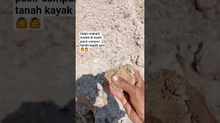 I bought it for a lot of money and was given sand mixed with soil‼️🙆🙆