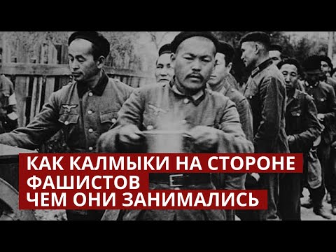 Калмыцкий легион СС. Почему калмыки сражались на стороне фашистов