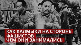 Калмыцкий легион СС. Почему калмыки сражались на стороне фашистов