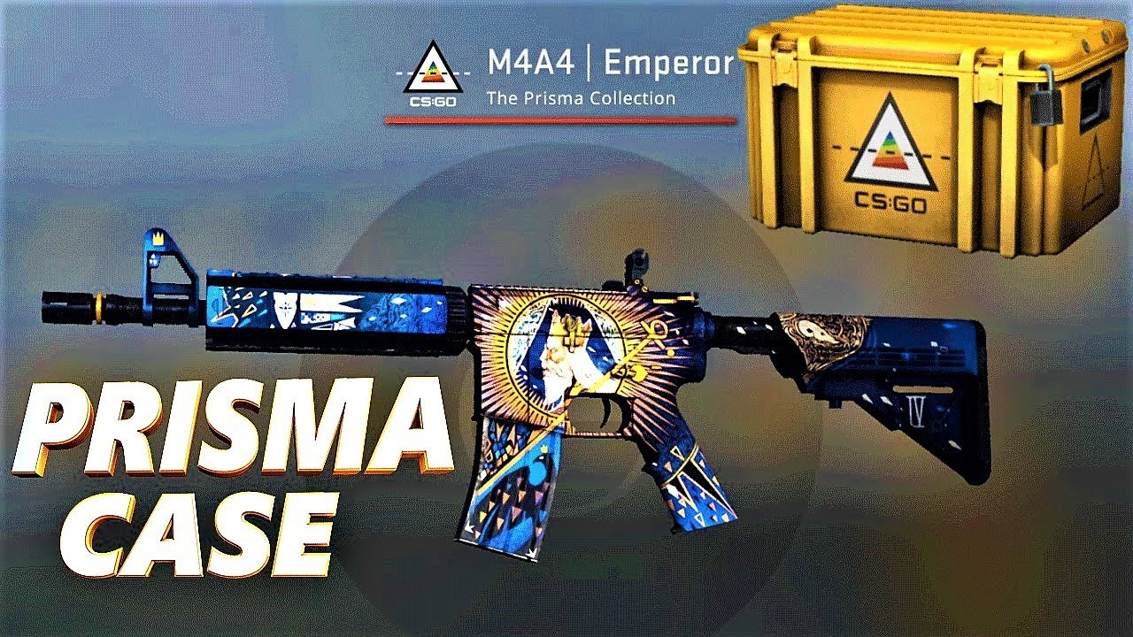 Prisma case