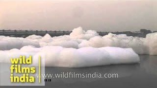Deadly pollution foam coated Yamuna river!