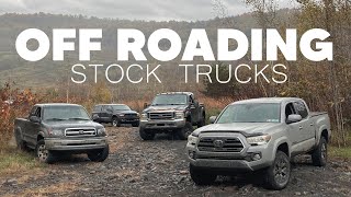 Taking Four Stock Trucks OffRoading For The First Time!