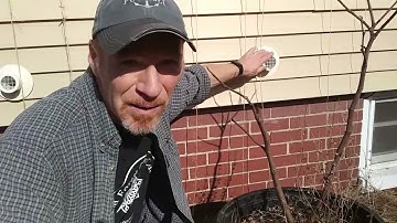 What is a Micro-Climate, How to Find and Use Them – Karl’s Food Forest Garden: S001E083