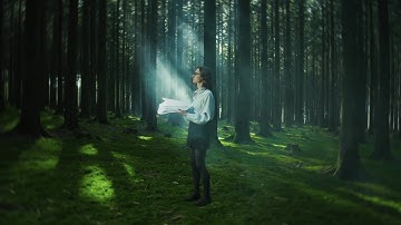 SCHNEIDER IT MANAGEMENT Microsoft Enterprise Agreement Services