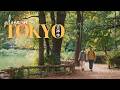 A Quiet Autumn Day in Kichijoji | 秋が香る吉祥寺を散策 | Solo Tokyo Vlog