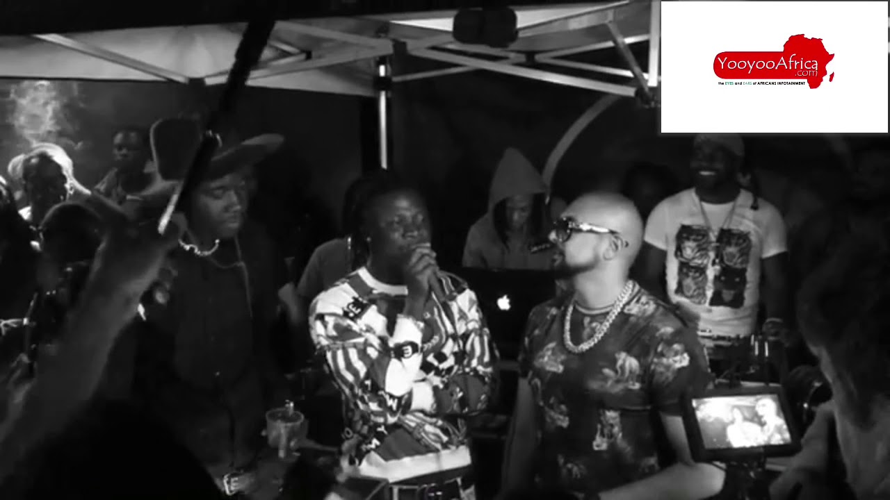 Watch How Stonebwoy Wow'd Sean Paul And Chicchingching9ja