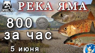 🌟РЕКА ЯМА🌟800 МОНЕТ ЗА ЧАС🌟Русская Рыбалка 4(РР4)🌟