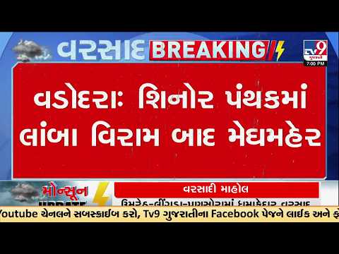 Rain Returns to Shinor Area of Vadodara After Long Dry Spell | TV9Gujarati