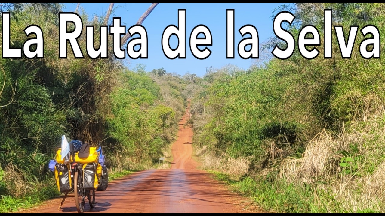 EL PELIGRO DE CRUZAR TARDE el Parque Nacional Iguazú por la Ruta 101