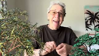 Artist of Onlytrees What I do with Loops