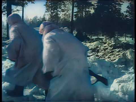 Советско-финляндский военный конфликт. 1940 г. Взятие Выборга