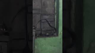 ghar mein snake a Gaya