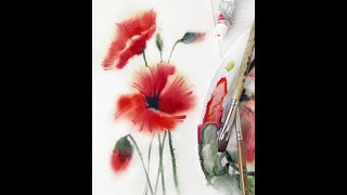 Watercolor. Poppies