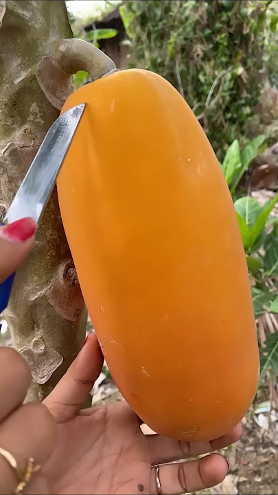 Viral Papaya #papaya #papayalove #asmr #satisfying #shorts