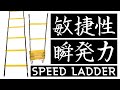＜GAViC トレーニング＞スピードラダー