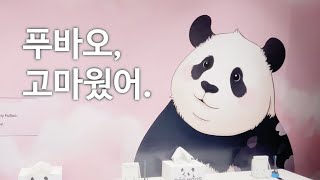 떠나는 푸바오를 기억할 수 있는 곳, 바오 하우스. #푸바오