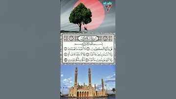 سورة الكافرون #قرآن #راحة_نفسية #اكسبلور #duet #قران_كريم #مزامير_داود#لايك#اليمن#ترند #اليمن_العراق