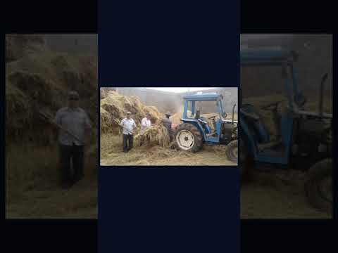 افضل طريقة لاستخدام قش الأرز في الزراعة