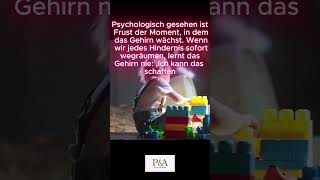 Warum dein Kind Frust BRAUCHT #wutanfall #motivation #kindererziehung